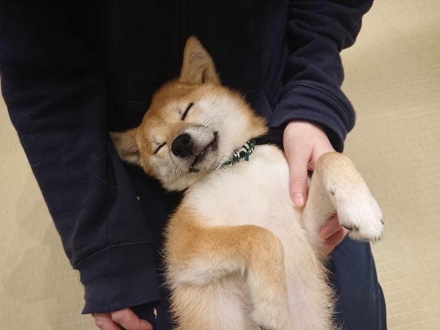 〇〇カフェ｜写メ日記｜由加｜品川・五反田 人妻デリヘル ミセスラウンジ東京