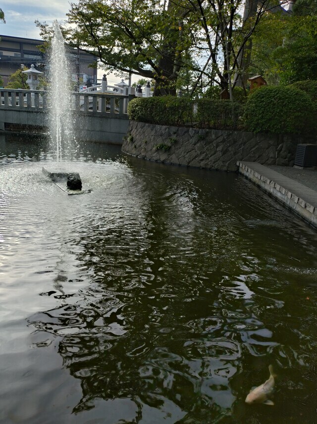 癒されました｜写メ日記｜由加｜品川・五反田 人妻デリヘル ミセスラウンジ東京