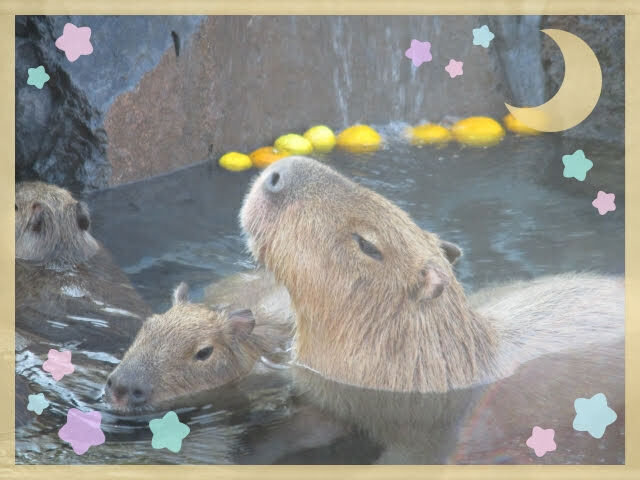 いよいよ師走。|写メ日記|富美加|品川・五反田 人妻デリヘル ミセスラウンジ東京