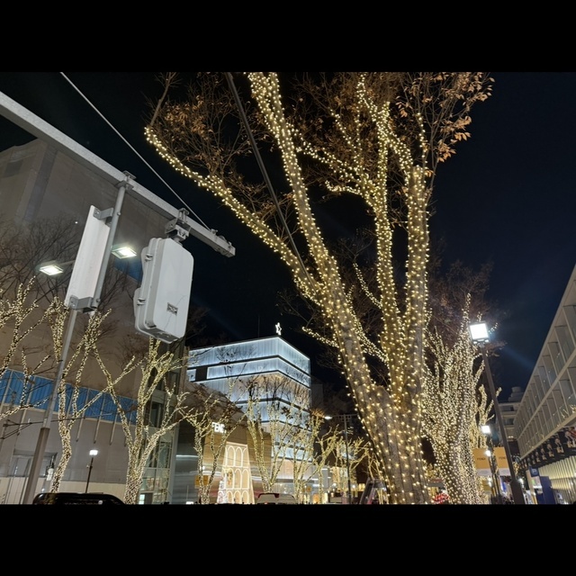 イルミネーション