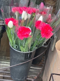 だいすき｜写メ日記｜天音｜品川・五反田 人妻デリヘル ミセスラウンジ東京