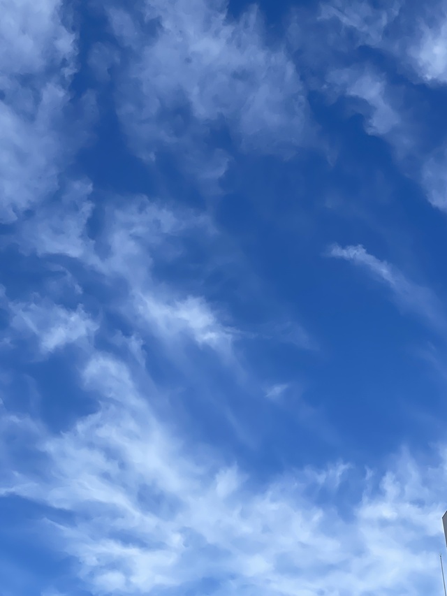 おはようございます☀️