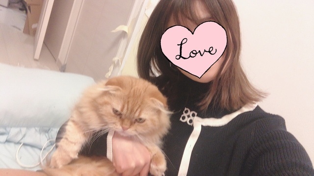 しいなです🤍｜写メ日記｜体験入店 シイナ｜鶯谷 韓国デリヘル シンドガール