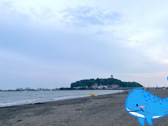 勢いで来ちゃいました😎｜写メ日記｜SARII｜新宿 高級デリヘル ハイエンド東京