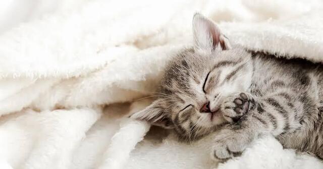 眠い