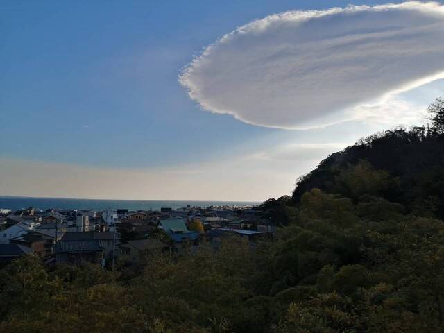 おしらせ٩(♡ε♡ )۶