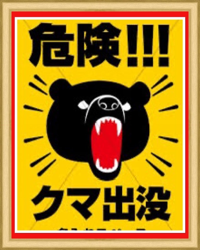 鶯谷に熊出没‼️