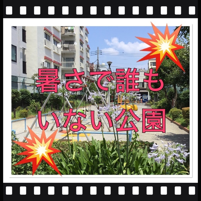 お休みですが・・・