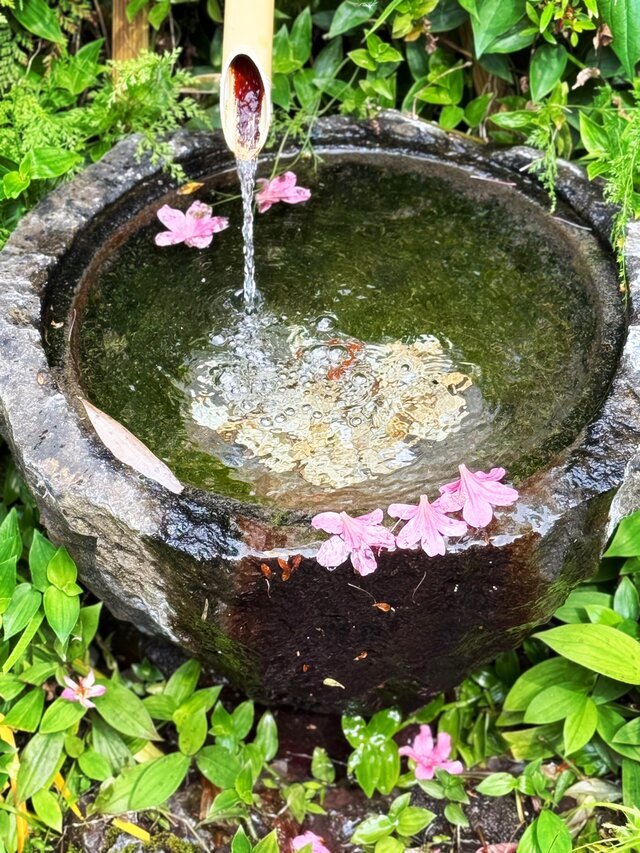 お誘い待ってます♪｜写メ日記｜春｜鶯谷 人妻デリヘル 人妻風俗チャンネル