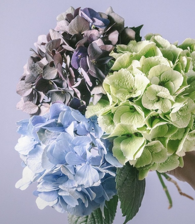 おはようございます｜写メ日記｜立花｜鶯谷 人妻デリヘル 人妻風俗チャンネル