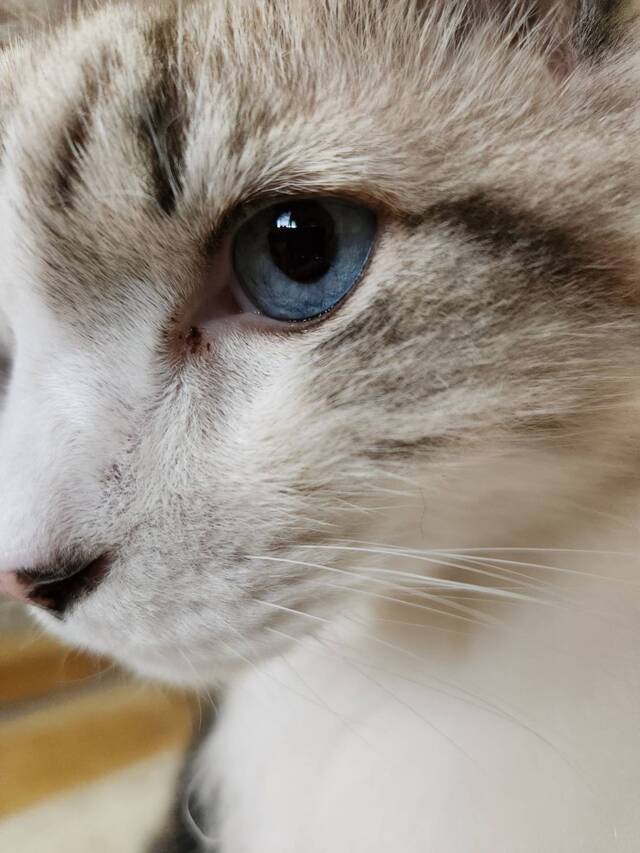 おはようございます