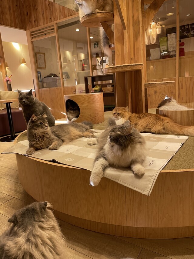 本日出勤❣️｜写メ日記｜西村｜鶯谷 一般デリヘル 鶯谷ワンハート