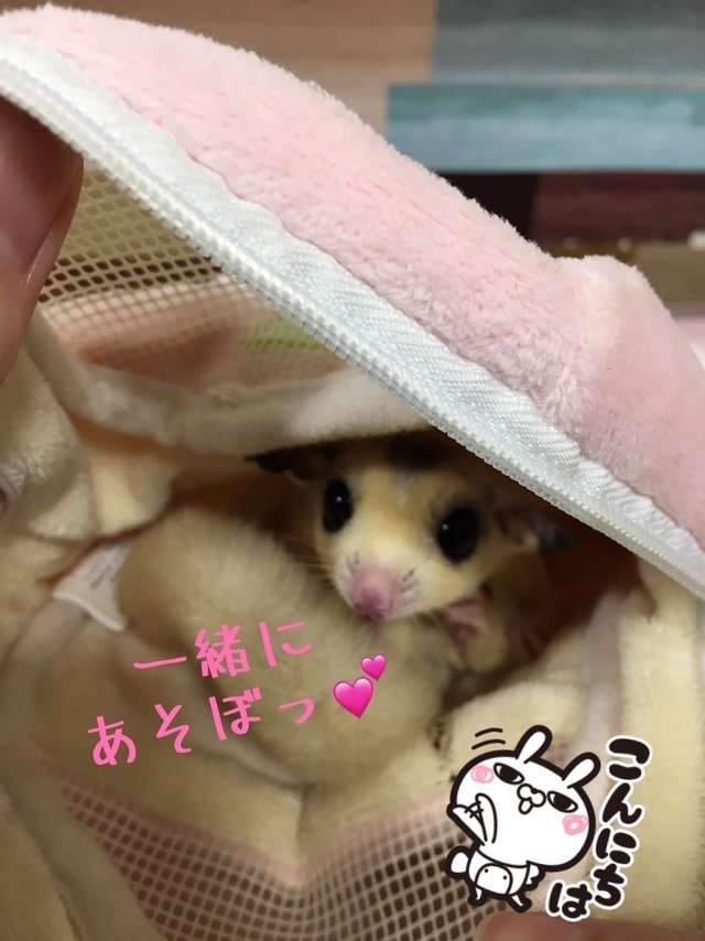 出勤してます😊|写メ日記|西村|鶯谷 一般デリヘル 鶯谷ワンハート