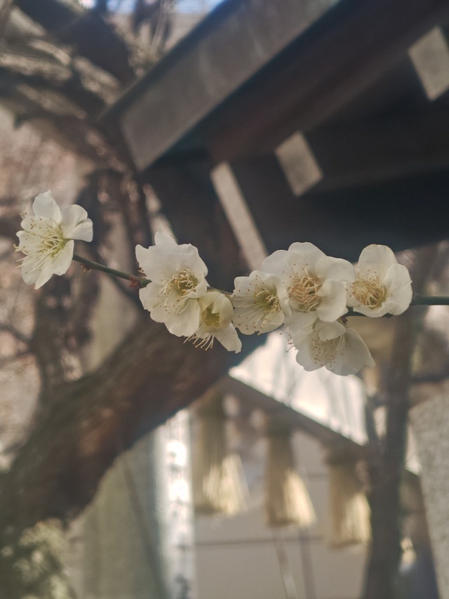 イレギュラーで