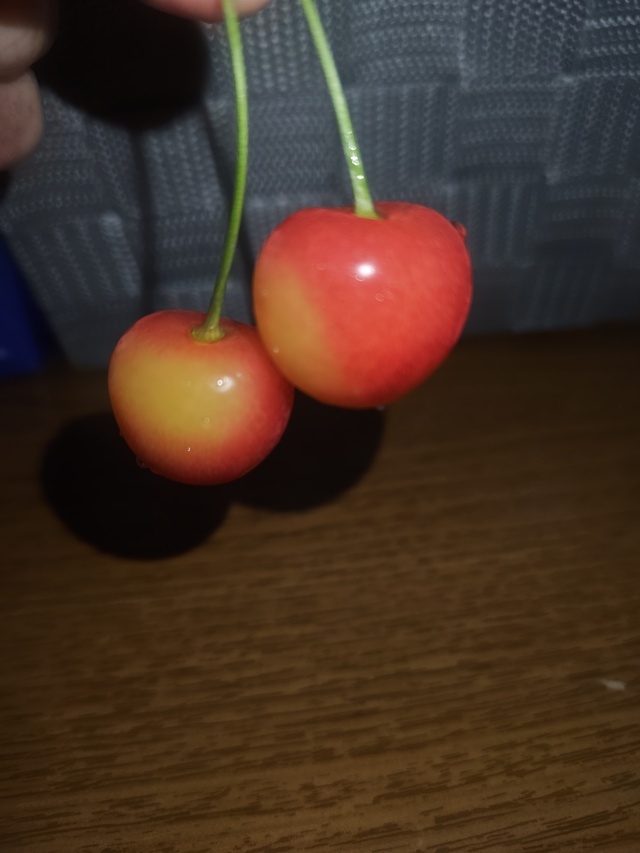 やっと