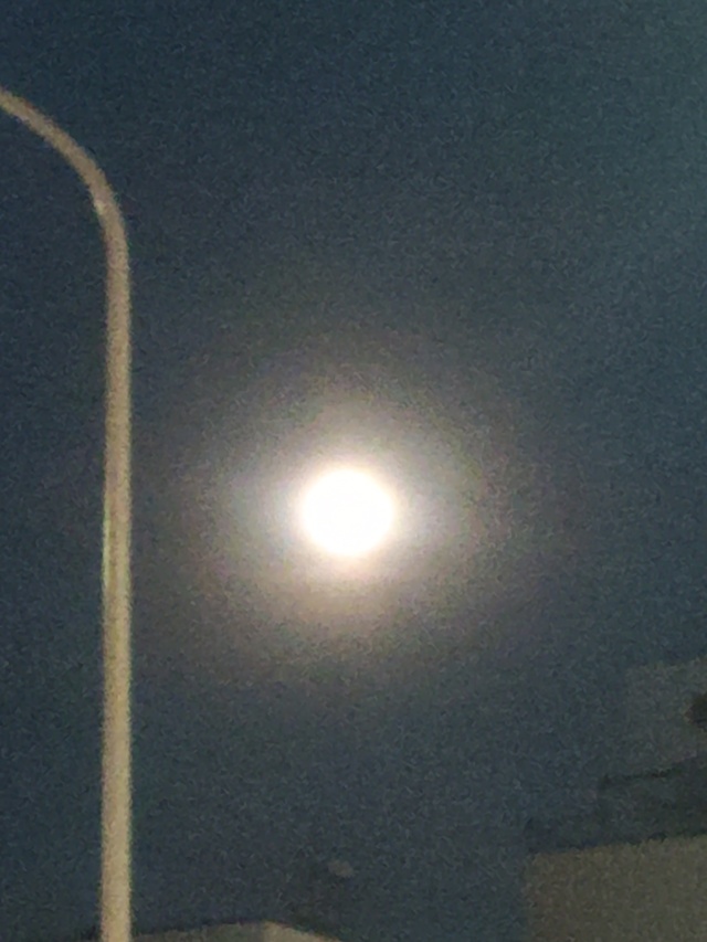 何とか