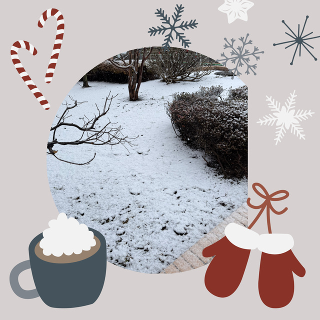 雪だぁ〜｜写メ日記｜高梨｜鶯谷 一般デリヘル 鶯谷ワンハート