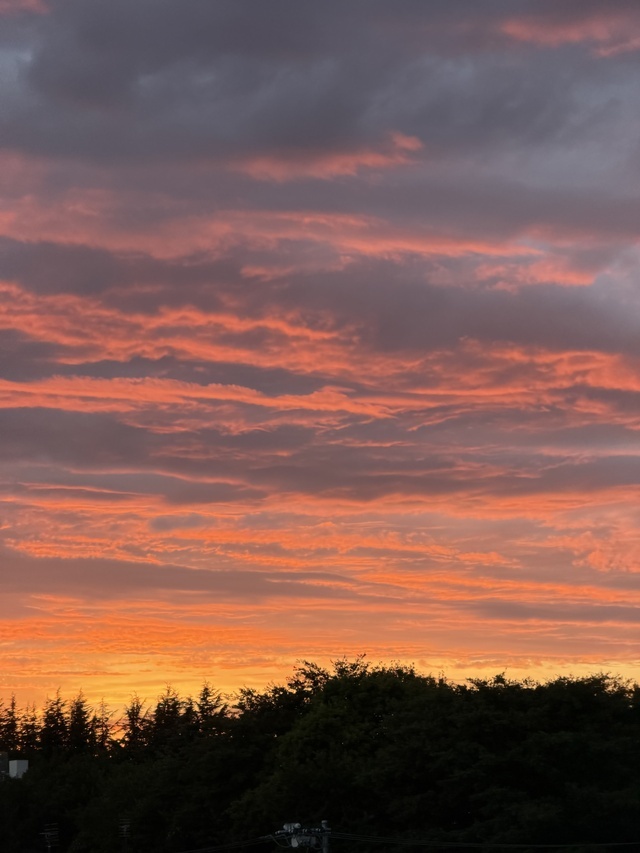夕焼け