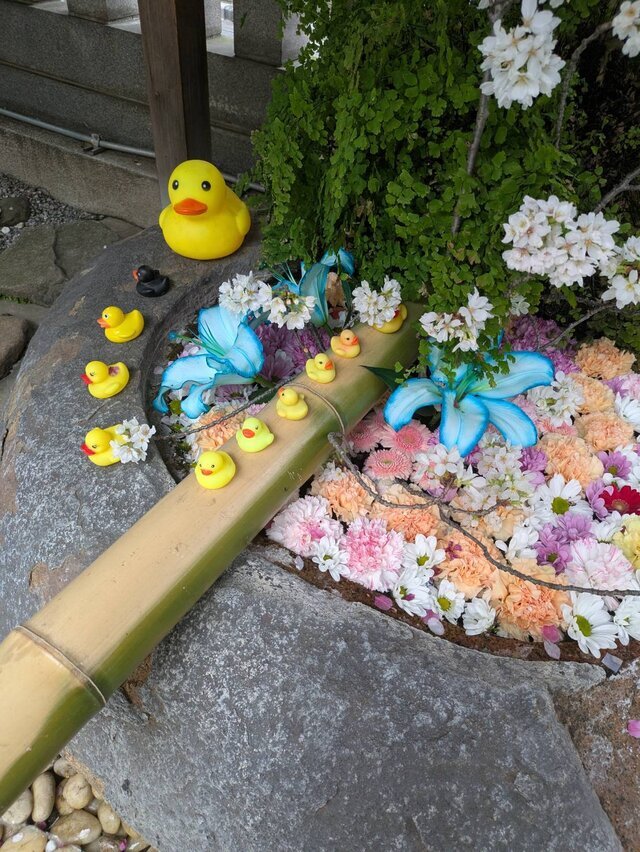 おはようございます
