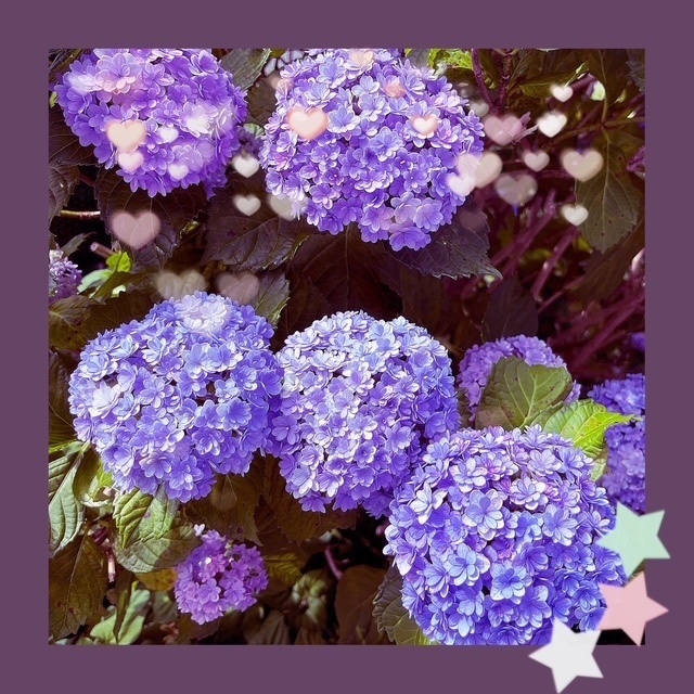 おはようございます。｜写メ日記｜丘｜鶯谷 一般デリヘル 鶯谷ワンハート