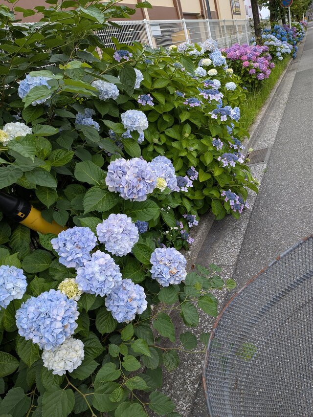 予定よりも、、｜写メ日記｜黒咲｜鶯谷 一般デリヘル 鶯谷ワンハート