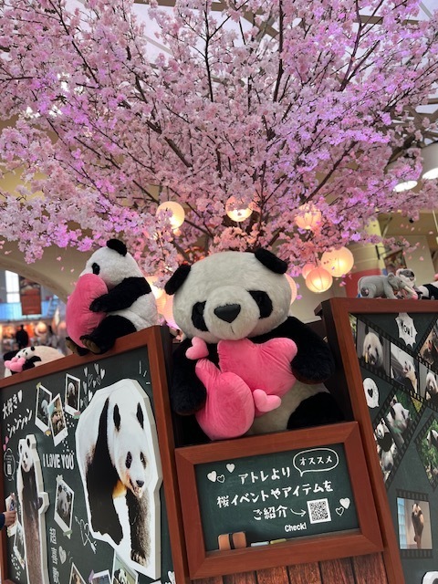 桜もあと少し｜写メ日記｜九条｜鶯谷 一般デリヘル 鶯谷ワンハート