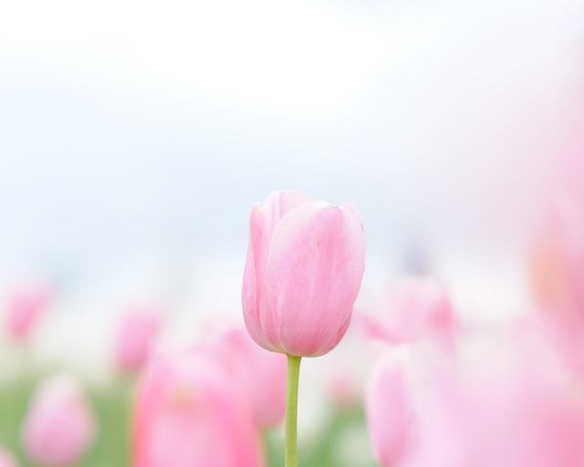 テスト｜写メ日記｜小沢｜鶯谷 一般デリヘル 鶯谷ワンハート