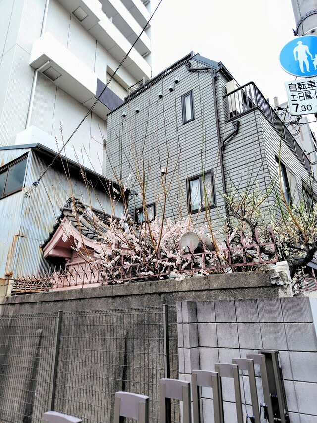 19時まで待ってます😸｜写メ日記｜小沢｜鶯谷 一般デリヘル 鶯谷ワンハート