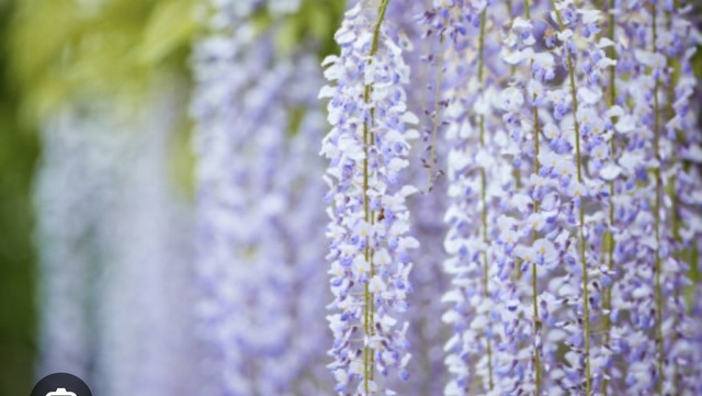 御礼日記(謎のX-Men)｜写メ日記｜岡埼｜鶯谷 一般デリヘル 鶯谷ワンハート