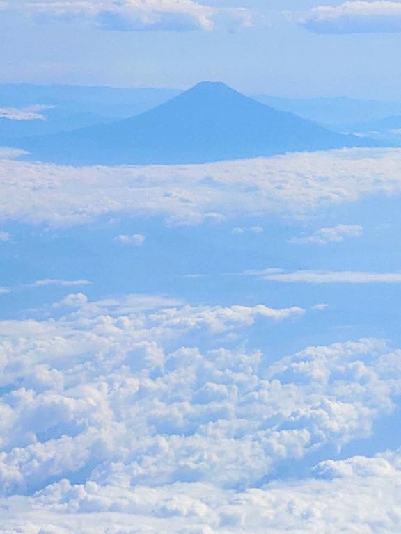 朝〜｜写メ日記｜湯浅（ゆあさ）｜品川・五反田 人妻デリヘル 東京セレブな美人妻