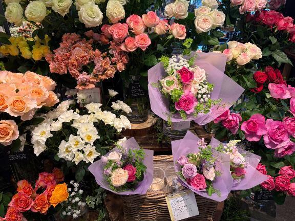 気温差激しいので体調にお気を付けて下さい｜写メ日記｜椎名｜品川・五反田 人妻デリヘル 東京セレブな美人妻