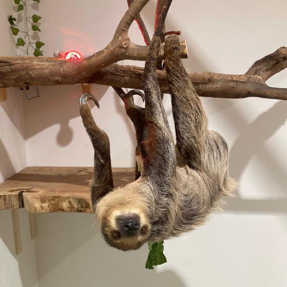ふれあいしよ♡｜写メ日記｜みほ｜鶯谷 一般デリヘル 鶯谷スピン