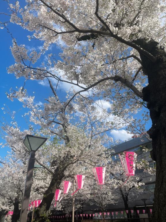 23時30分から｜写メ日記｜久保ちひろ｜新宿 高級デリヘル MIRAI TOKYO 新宿店