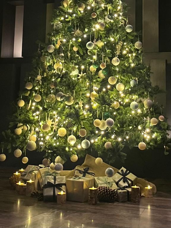 お礼⊹ ݁｜写メ日記｜森嶋まりあ｜新宿 高級デリヘル MIRAI TOKYO 新宿店