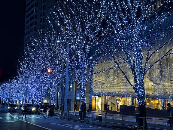 今年も見れるかなっ｜写メ日記｜高坂まき｜新宿 高級デリヘル MIRAI TOKYO 新宿店