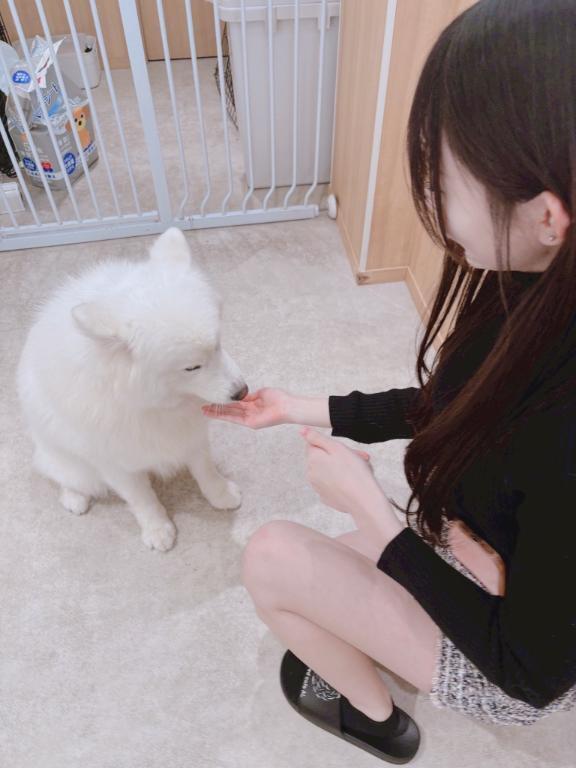 サモエド｜写メ日記｜小湊かなみ｜新宿 高級デリヘル MIRAI TOKYO 新宿店
