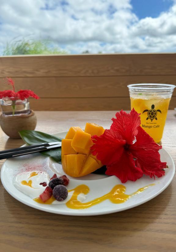 早めの大掃除｜写メ日記｜山川ゆさ｜新宿 高級デリヘル MIRAI TOKYO 新宿店