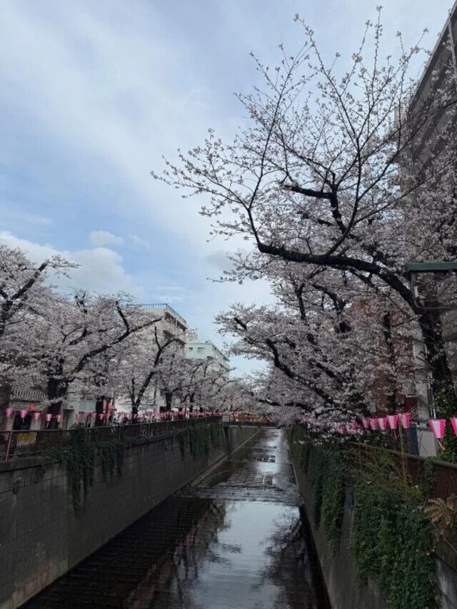 えみのひとりごと｜写メ日記｜澤田えみ｜新宿 高級デリヘル MIRAI TOKYO 新宿店