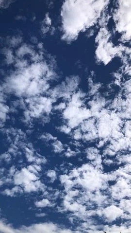 空がとってもキレイで、思わず見上げちゃいました♡｜写メ日記｜冬月 きらら｜渋谷 高級デリヘル ティアリズム代官山