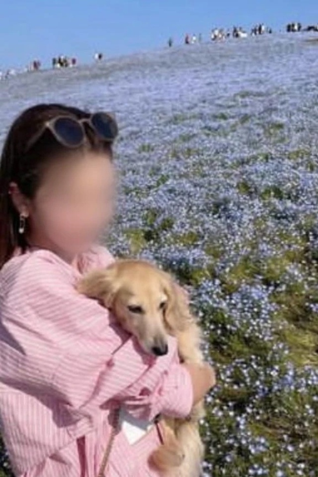 新しい靴下おろした🧦💖