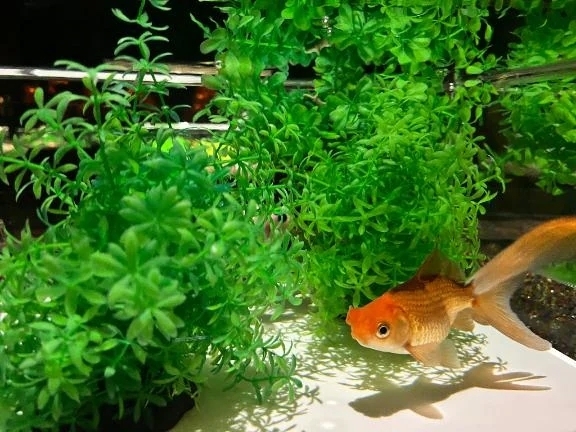 おはようございます☀️｜写メ日記｜佐竹　るり｜渋谷 高級デリヘル Berry(ベリー)