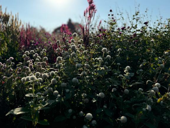 お久しぶりです。｜写メ日記｜新垣｜品川・五反田 一般デリヘル 品川やすらぎ