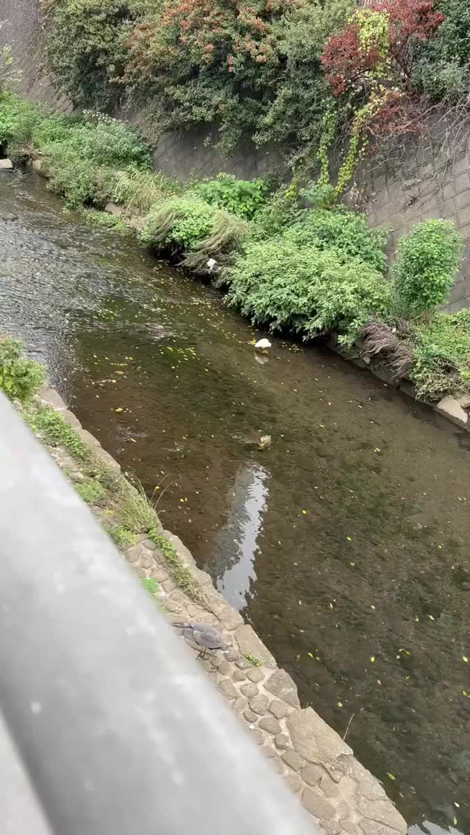 どうして笑｜写メ日記｜一色｜品川・五反田 一般デリヘル 品川やすらぎ