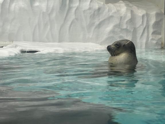 ⭐︎近況報告⭐︎｜写メ日記｜高倉｜品川・五反田 一般デリヘル 品川やすらぎ