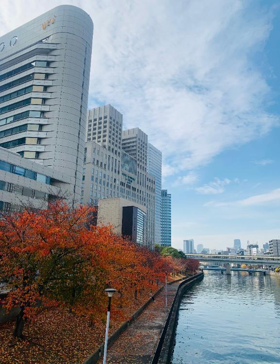 大阪は紅葉が綺麗でしたよ✨🍁｜写メ日記｜入江｜品川・五反田 一般デリヘル 品川やすらぎ