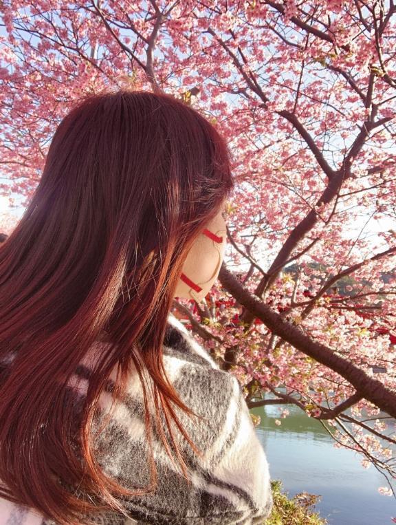 先週🌸河津に行ってきました✨☺️