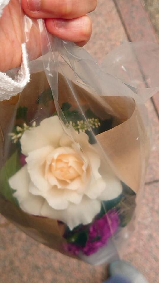 ごめんなさい(´；ω；｀)｜写メ日記｜今石｜品川・五反田 一般デリヘル 品川やすらぎ