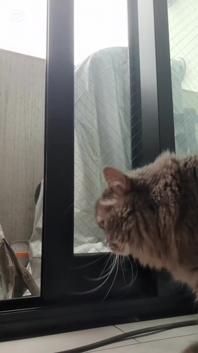 休日Vログ♡中間編