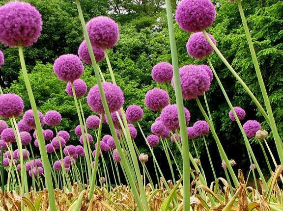 涙と鼻水を垂らさないように帰宅しました｜写メ日記｜大矢｜品川・五反田 一般デリヘル 品川やすらぎ