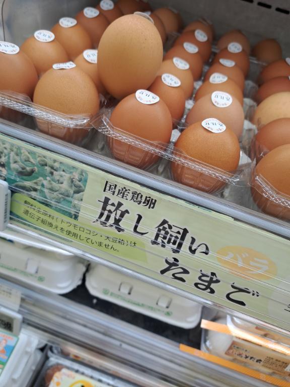 フェアじゃないのが世の中です｜写メ日記｜大矢｜品川・五反田 一般デリヘル 品川やすらぎ